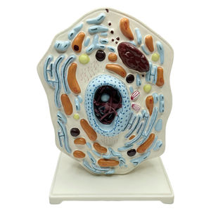 動物の薄い胸部モデル動物の細胞構造顕微鏡的に拡大されたゴルジミトコンドリアル生物-科学キット - Product Image 2