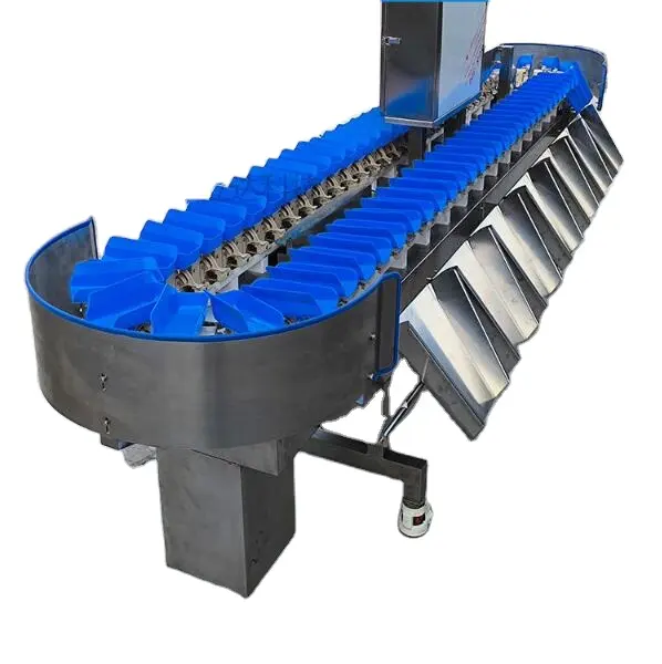 Automatic oyster grading machine mussels shellfish weight sorting machine for seafood