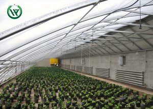 إطار دفيئة زراعية كاملة (بيت محمي شمسي دافئ) لزراعة الخضروات - نفق دفيئة بلاستيكي منخفض التكلفة - Product Image 4