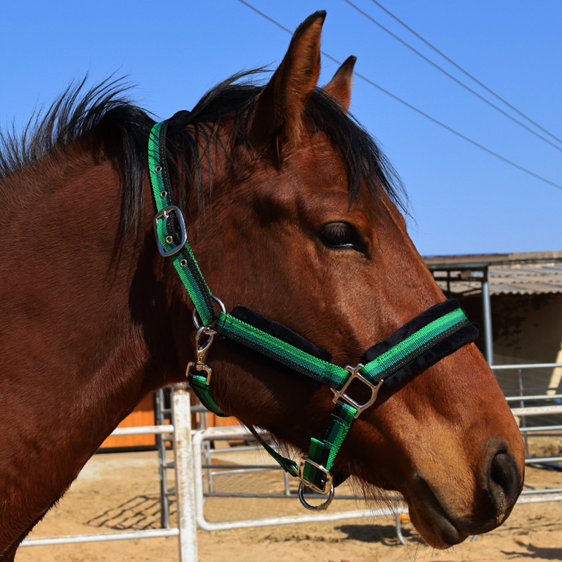 High Quality Horse Riding Clothing Equestrian