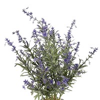 Produsen Tanaman Lavender Rosemary Buatan Siap Kirim Grosir, Rangkaian Bunga Batang Berbubuk Gaya Baru untuk Pernikahan dan Rumah