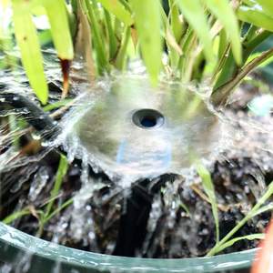 Tête d'arrosage de type fontaine à insertion au sol, 13 cm, irrigation goutte à goutte à 360 degrés pour arbres fruitiers et plantes en pot - Product Image 2