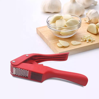 Haute qualité 2 en 1 manuel en acier inoxydable presse-ail portable gingembre hachoir produit maison et cuisine Gadgets