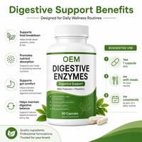 Complexe multi-enzymes végétal avec souches probiotiques et capsules d'inuline prébiotique pour soutenir l'absorption des nutriments