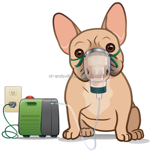 Nhỏ Pet Dog Cat Chăm Sóc Đường Hô Hấp Thở Chữa Bệnh Hen Suyễn Máy Nén Thú Y Oxy Máy Phun Sương Hộp Cho Vật Nuôi - Product Image 6