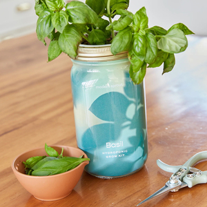 Guci tanaman ramuan Basil organik Modern, Kit lantai kondisi dalam ruangan pemasangan luar ruangan dengan pot indah termasuk dalam ruangan - Product Image 4