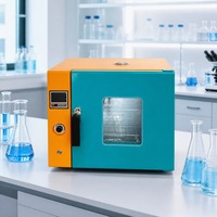 Horno de Secado al Vacío de Laboratorio de 50L con Rango de Temperatura RT+5~300C para Secado de Muestras y Reactivos Químicos