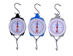 <span class=keywords><strong>Balance</strong></span> à ressort mécanique avec cadran 25kg 50kg 100kg 200kg, <span class=keywords><strong>balance</strong></span> de pêche 150kg, <span class=keywords><strong>balance</strong></span> pour bébé - Product Image 4