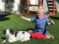 Le drapeau agitant la main de l'étoile américaine noire peut être personnalisé différentes tailles de décorations de petit drapeau portables