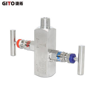 Collecteur à deux vannes 1/2'' NPT FXM pour tableau de bord, pièces et accessoires d'instruments - Product Image 3