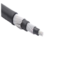 Cable XLPE de cobre eléctrico de 600V y 1000V, Cable concéntrico aislado de PVC 2x6 2x4 2x10 2x16 2x6 + 1x8 AWG para construcción aérea