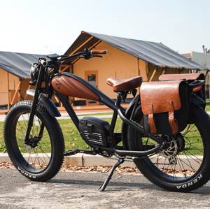 OEM 2024 винтажный электрический велосипед, 750 Вт/1000 Вт, мощный двигатель, толстые шины, большие расстояния, двойные литиевые батареи, скрытый дизайн, внедорожный электровелосипед - Product Image 3