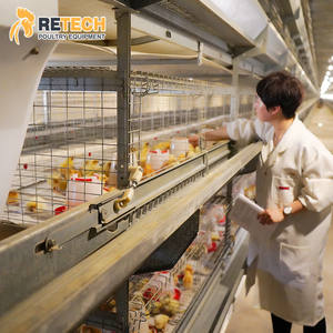 Yüksek kaliteli H tipi otomatik kümes ekipmanları pil tavuk Brooder Pullet kafes - Product Image 5