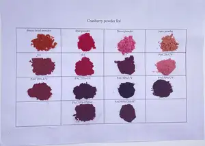 Polvo de fruta de extracto de arándano natural de venta directa del fabricante 1%-50% polvo de arándano Matcha proantocianidinas (UV) - Product Image 2