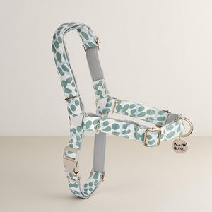 Stylish <b>No</b> <b>Pulling</b> Custom <b>Dog</b> <b>Harness</b> Lovely Luxury Fashion <b>Dog</b> <b>Harnesses</b> Personalized Wholesale OEM ODM - Product Image 1