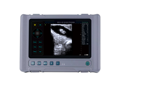 Appareil d'échographie vétérinaire DMSU31 de haute qualité et très vendu, avec écran tactile de 8 pouces, pour usage vétérinaire, à vendre - Product Image 5