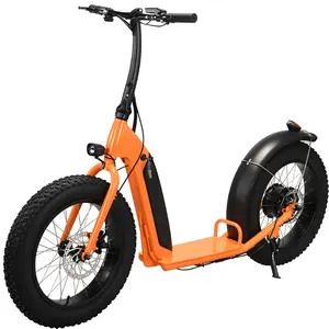 Off Road 2 Wheel 20 Inch Electric Scooter