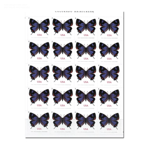 Étiquettes permanentes <span class=keywords><strong>en</strong></span> papier personnalisées <span class=keywords><strong>en</strong></span> gros pour <span class=keywords><strong>la</strong></span> collection Colorado Hairstreak 2021, imprimées aux États-Unis, pour <span class=keywords><strong>timbres</strong></span> postaux <span class=keywords><strong>en</strong></span> <span class=keywords><strong>ligne</strong></span> - Product Image 4