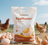 Complément Alimentaire pour Poules Pondeuses : Prémélange Vitaminé Stimulant la Croissance pour une Production d'Œufs Accrue