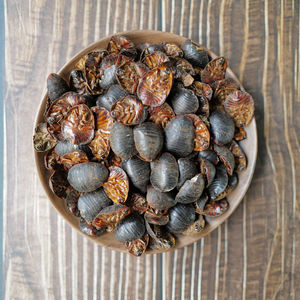 Groundworm Tu Bie Chong Sol Beeltle Woodlouse Séché Haute Qualité Vente en gros Prix bas Export Usine Directsale Multi-usages - Product Image 5