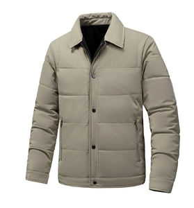 Veste en coton épaisse avec col rabattu, automne et hiver, chaude et résistante au froid, mode masculine, réversible - Product Image 1