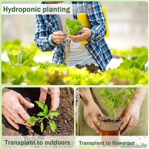 Vườn hạt giống Pods hydroponic Pods Kit 160pcs 40 phát triển giỏ 40 phát triển bọt biển 40 Pod nhãn 40 phát triển mái vòm - Product Image 5