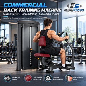 Attrezzo per Allenamento Muscolare Dorsale Regolabile <span class=keywords><strong>in</strong></span> Acciaio con Sistema a Perni per Potenziamento e Uso <span class=keywords><strong>in</strong></span> <span class=keywords><strong>Palestra</strong></span> - Product Image 1