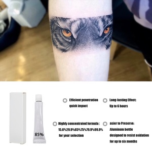 Vente en gros de produits de tatouage de haute qualité, crème blanche pour tatouage à 85%, pigment de maquillage pour tatouage des sourcils et des lèvres - Product Image 3