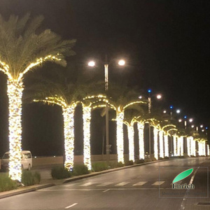 Sự Kiện Không Thấm Nước Chiếu Sáng Đám Cưới Led Cao Su String <span class=keywords><strong>Lights</strong></span> Giáng Sinh Tiên Ánh Sáng Với Độ Dài Khác Nhau - Product Image 6