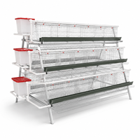 Cage à poules pondeuses de type A à haute capacité, 3 niveaux, galvanisée, système automatique de ponte pour les fermes avicoles