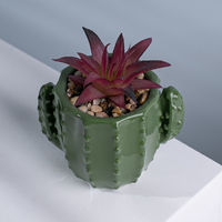 Pots de plantes Cactus visuel, 7 pièces, plantes succulentes en céramique avec plante pour décoration de bureau, vente en gros