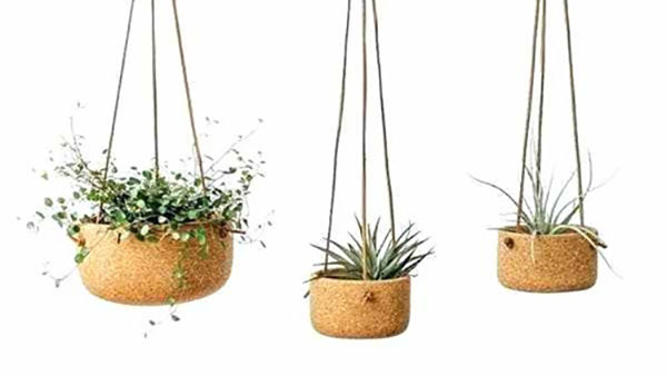 Originale sughero colore