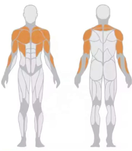 <span class=keywords><strong>Banco</strong></span> <span class=keywords><strong>de</strong></span> Pesas Ajustable para Gimnasios Comerciales - <span class=keywords><strong>Banco</strong></span> <span class=keywords><strong>de</strong></span> Entrenamiento <span class=keywords><strong>de</strong></span> Alta Resistencia con Múltiples Ángulos y Estructura Duradera para Entrenamiento con Pesas - Product Image 4