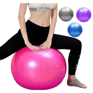 55cm 65cm plusieurs tailles et couleurs rose bleu violet personnaliser Logo balle de yoga balle d'exercice professionnelle