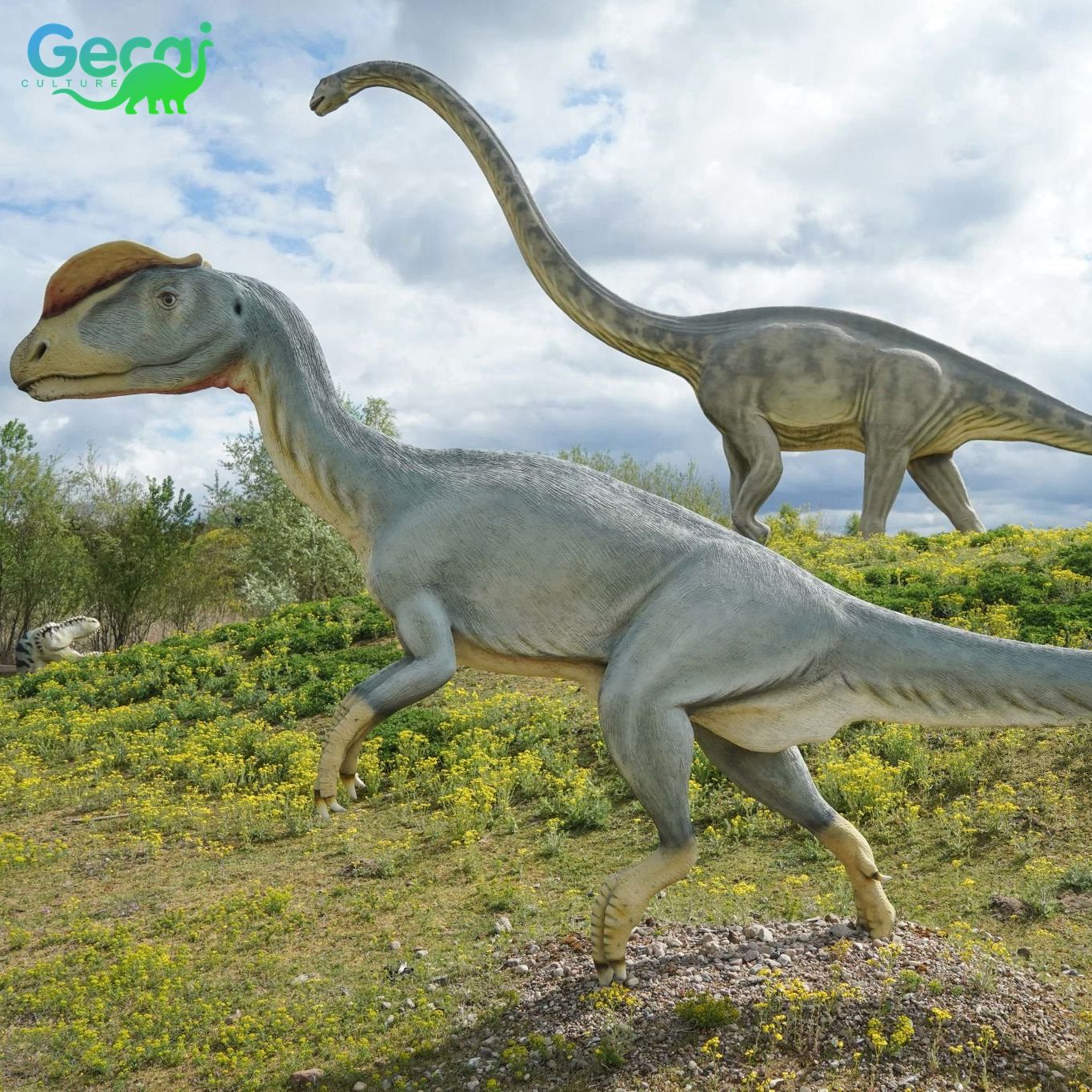 สีสามารถปรับแต่งได้