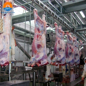 Crochets de suspension pour carcasses de bovins, tubes et rails pour abattoirs, équipement de traitement de la viande pour bovins, matériel d'abattage - Product Image 5
