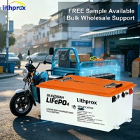 Batterie pour scooter de mobilité pour personnes âgées 38.4V200AH 7.68KWh LFP prismatique, respectueuse de l'environnement, avec protection contre les surcharges pour scooter de personnes âgées