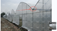Serres agricoles en polycarbonate, serre multi-spans avec système d'irrigation goutte à goutte hydroponique