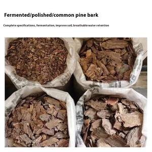 Đánh bóng lên men <span class=keywords><strong>Pine</strong></span> <span class=keywords><strong>Bark</strong></span> mulch Hữu Cơ phân hủy gỗ <span class=keywords><strong>Bark</strong></span> cho vườn đồ trang trí cảnh quan và công viên xanh trang trí - Product Image 3