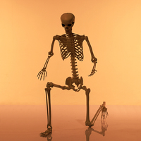Squelette d'Halloween en plastique de 185 cm avec articulations mobiles, os humains, corps entier, effrayant, pour la décoration de fête d'Halloween
