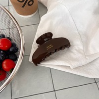 Nouvel accessoire pour cheveux femme en acétate texturé, fait main, élégant, polyvalent, haut de gamme, avec fermoir requin, collection Printemps-Été, étiquette dorée