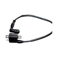 Harnais de câblage moteur entièrement électrique personnalisé pour moto, gaine en nylon/PVC, conducteur en cuivre étamé