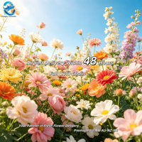 Transport aérien à haute vitesse pour fleurs fraîches coupées, chaîne du froid, 48H CIF Kunming vers Dubaï DXB
