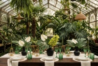 Smaragdgroene vintage wijnglazen, ecologisch duurzaam, geperst glas, set voor bruiloften, Kerstmis, feestdagen en evenementen