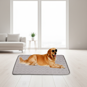 Tapis rectangulaire bleu pour animaux de compagnie, antidérapant, en fibres, lit pour chien, mignon, tapis pour animaux de compagnie toutes saisons pour chiens - Product Image 6