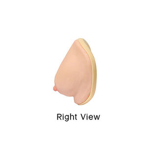 DARHMMY Fortgeschrittene Brustuntersuchungsmodelle für die medizinische Ausbildung in der Gynäkologie in Schulen und Krankenhäusern - Product Image 2