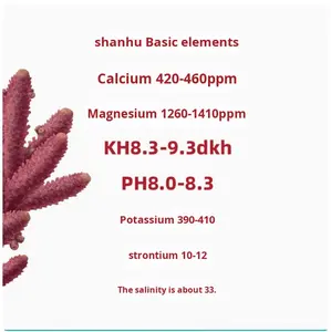 Yeye sel de corail écologique sel de poisson d'eau de mer pour LPS SPS coraux poisson clown plastique pour aquariums vivants sel de poisson importé - Product Image 3