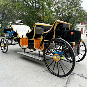 Carruaje de bodas clásico de Venta caliente Turismo escénico Viaje mágico Transporte especial para bodas Tours - Product Image 4