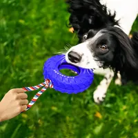 Heißer Verkauf Amazon 24 jahre Hersteller juguetes para mascotas Natürliche Gummi Reifen Cord Sicher Biss Interaktive Hund Spielzeug