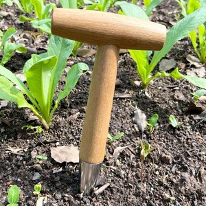 Semoir de jardin en bois de pin écologique de type T avec manche émaillé pour pots de fleurs et fournitures de jardinage - Product Image 2